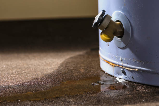 Carpet water damage restoration in MS