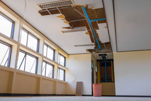 Best Sewage cleanup and water damage restoration  in Hollandale, MS
