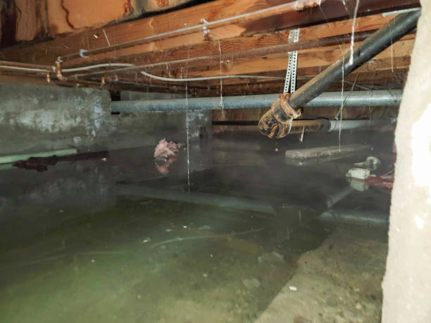 Professional Water damage restoration in MS