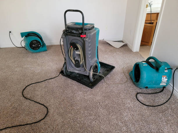 Best Water damage restoration near me  in Hollandale, MS