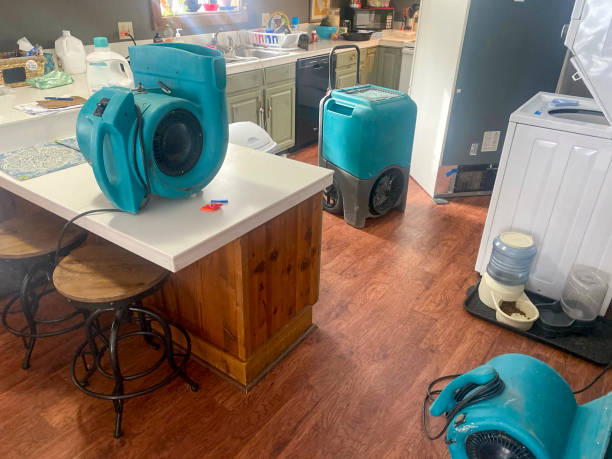 Best Emergency water damage restoration  in Hollandale, MS