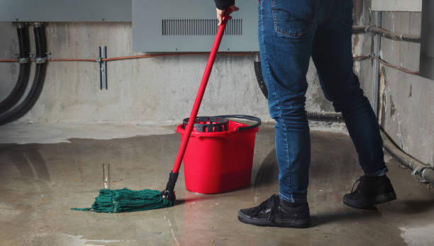 Best Mold removal after water damage  in Hollandale, MS