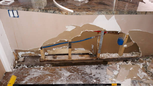 Best Ceiling water damage repair  in Hollandale, MS