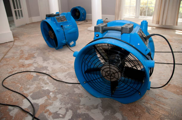 Best Water damage restoration experts  in Hollandale, MS