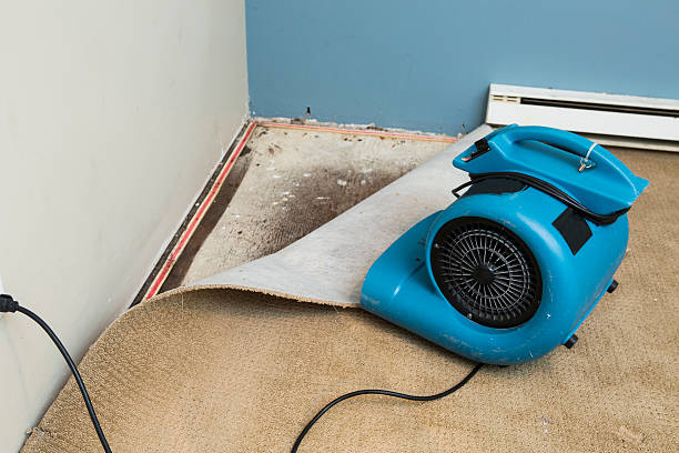 Best Water damage restoration company  in Hollandale, MS